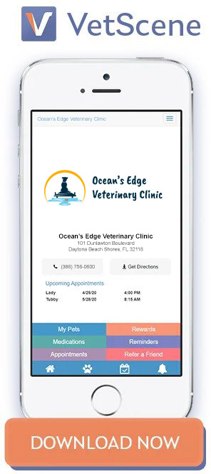 Vetscene App for Ocean's Edge Veterinary Clinic